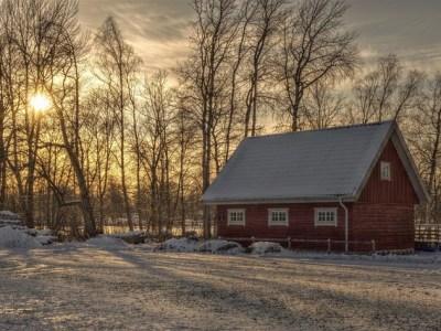 Dois / Ivar, el meu amic